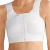 AMOENA | Compression Belt